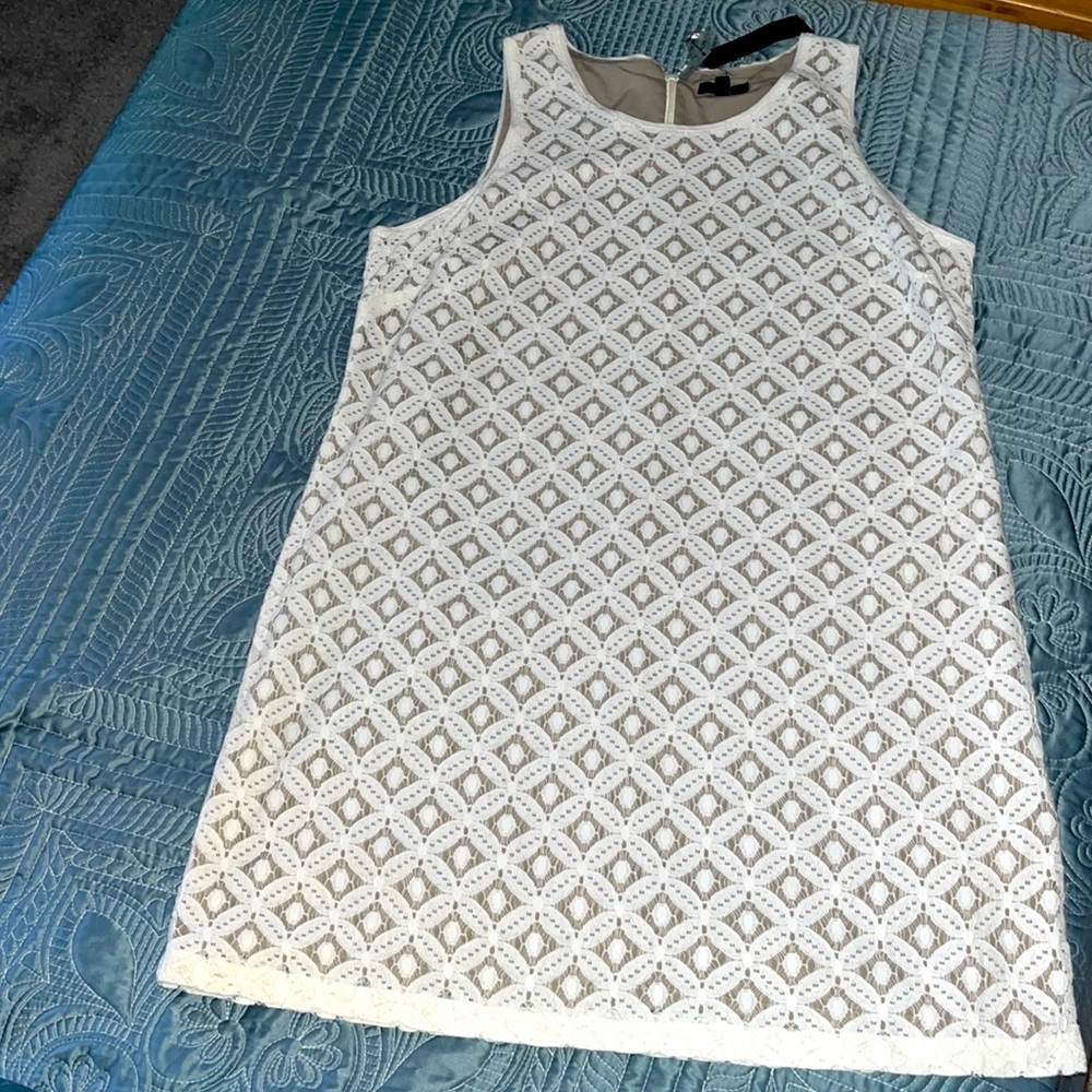 Petite Lace Dress